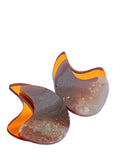 GAUA
